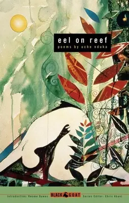 Úhoř na útesu - Eel on Reef