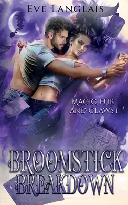 Rozbití koštěte - Broomstick Breakdown