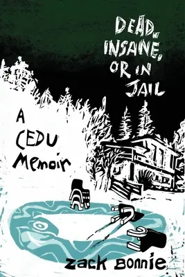 Mrtvý, šílený nebo ve vězení: A CEDU Memoir: A CEDU Memoir - Dead, Insane, or in Jail: A CEDU Memoir