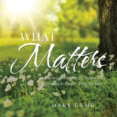 Na čem záleží: Cesta obyčejnou existencí s otázkami k zamyšlení na této cestě - What Matters: A Journey of Ordinary Existence with Questions to Ponder Along the Way
