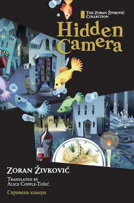 Skrytá kamera - Hidden Camera