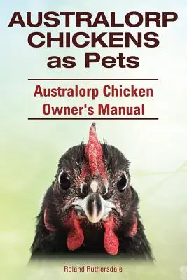 Australorp Kuřata jako domácí mazlíčci. Příručka pro majitele australorpských kuřat. - Australorp Chickens as Pets. Australorp Chicken Owner's Manual.