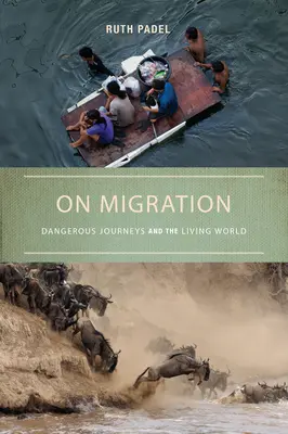 O migraci: Nebezpečné cesty a živý svět: Návod k putování: Nebezpečné cesty a živý svět - On Migration: Dangerous Journeys and the Living World