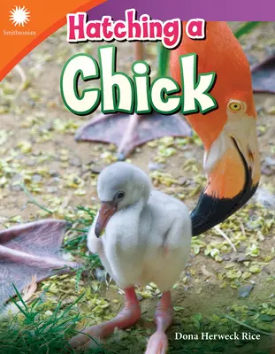 Vylíhnutí mláděte - Hatching a Chick