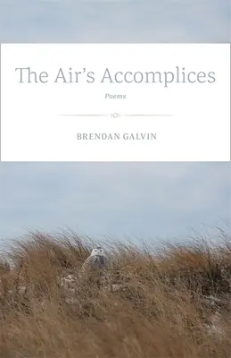 Vzdušní spolupachatelé: Básně - The Air's Accomplices: Poems