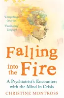 Pád do ohně - Setkání psychiatra s myslí v krizi - Falling into the Fire - A Psychiatrist's Encounters with the Mind in Crisis