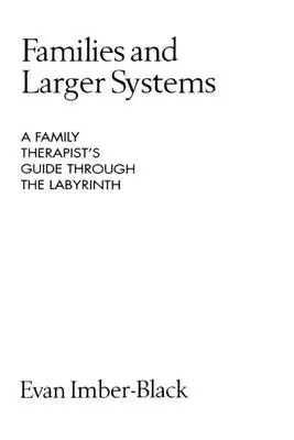 Rodiny a větší systémy: Průvodce rodinného terapeuta bludištěm - Families and Larger Systems: A Family Therapist's Guide Through the Labyrinth