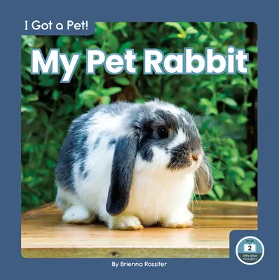 Můj domácí mazlíček králík - My Pet Rabbit