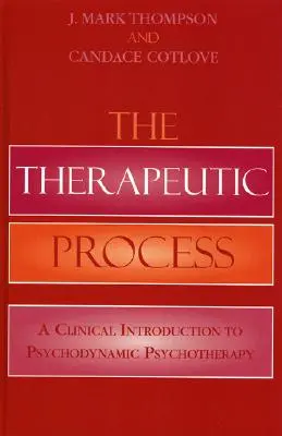 Terapeutický proces: A Clinical Introduction to Psychodynamic Psychotherapy (Klinický úvod do psychodynamické psychoterapie) - The Therapeutic Process: A Clinical Introduction to Psychodynamic Psychotherapy