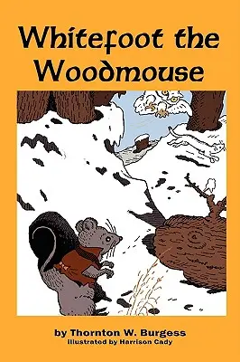 Myšák Bělonožka - Whitefoot the Woodmouse