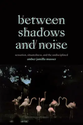 Mezi stíny a hlukem: Vnímání, situovanost a nedisciplinovanost - Between Shadows and Noise: Sensation, Situatedness, and the Undisciplined