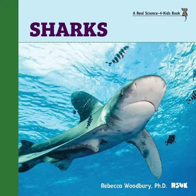 Žraloci - Sharks