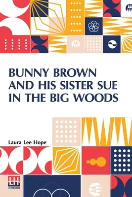 Bunny Brown a jeho sestra Sue ve velkém lese (Bunny Brown and His Sister Sue In the Big Woods) - Bunny Brown And His Sister Sue In The Big Woods