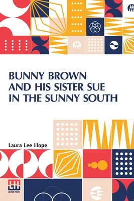 Bunny Brown a jeho sestra Sue na slunném jihu - Bunny Brown And His Sister Sue In The Sunny South