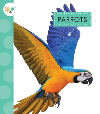 Papoušci - Parrots