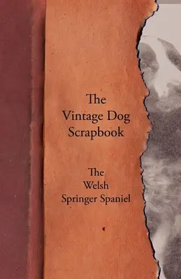 The Vintage Dog Scrapbook - Velšský špringršpaněl - The Vintage Dog Scrapbook - The Welsh Springer Spaniel