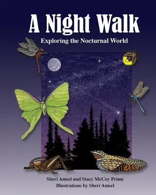 Noční procházka: Vycházka za nočním světem: Poznávání nočního světa - A Night Walk: Exploring the Nocturnal World