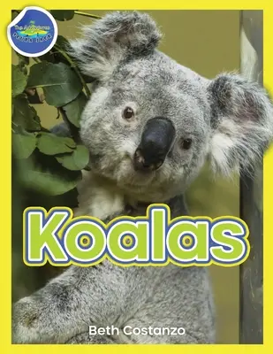 Koala Pracovní sešit aktivit věk 4-8 let - Koala Activity Workbook ages 4-8