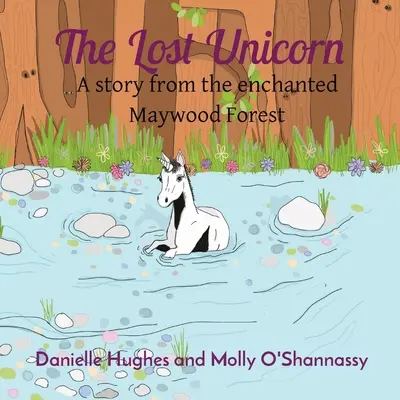 Ztracený jednorožec: Příběh z kouzelného Maywoodského lesa - The Lost Unicorn: A story from the enchanted Maywood Forest