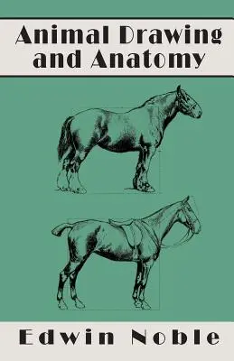 Kresba a anatomie zvířat - Animal Drawing and Anatomy
