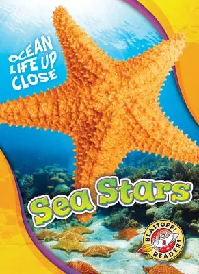 Mořské hvězdy - Sea Stars