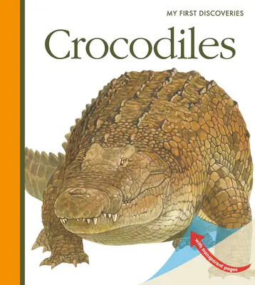 Krokodýli - Crocodiles