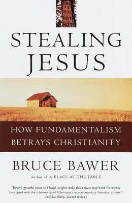 Ukrást Ježíše: Jak fundamentalismus zrazuje křesťanství - Stealing Jesus: How Fundamentalism Betrays Christianity