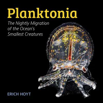 Planktonia: Noční migrace nejmenších tvorů oceánu - Planktonia: The Nightly Migration of the Ocean's Smallest Creatures