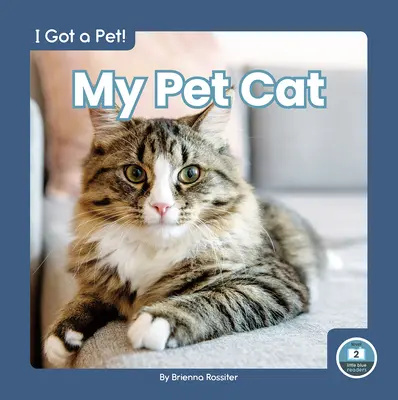 Můj domácí mazlíček kočka - My Pet Cat