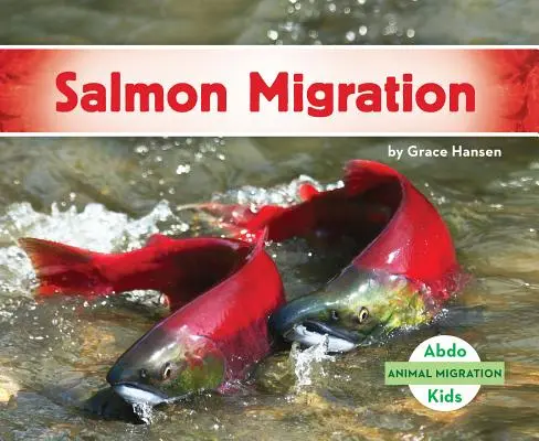 Migrace lososů - Salmon Migration