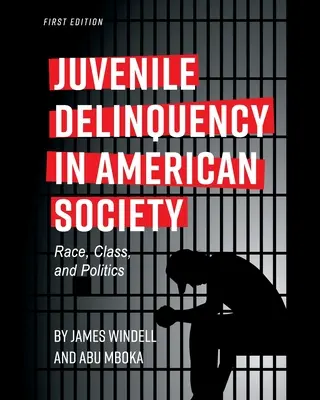 Kriminalita mladistvých v americké společnosti: Rasa, třída a politika - Juvenile Delinquency in American Society: Race, Class, and Politics