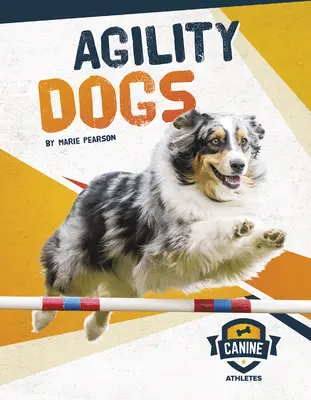 Agility psi - Agility Dogs