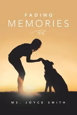 Blednoucí vzpomínky - Fading Memories