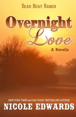 Láska na jednu noc - Overnight Love