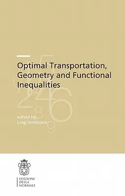 Optimální doprava, geometrie a funkční nerovnosti - Optimal Transportation, Geometry and Functional Inequalities