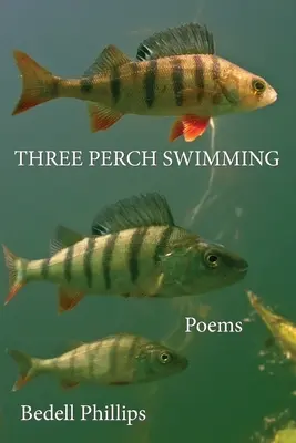 Plavání ve třech okounech - Three Perch Swimming