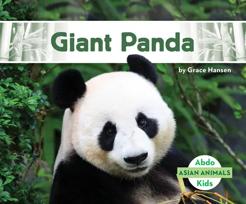 Panda obrovská - Giant Panda