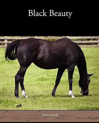 Černá kráska - Black Beauty