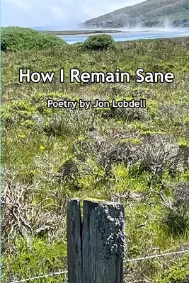 Jak jsem zůstal při smyslech - How I Remain Sane
