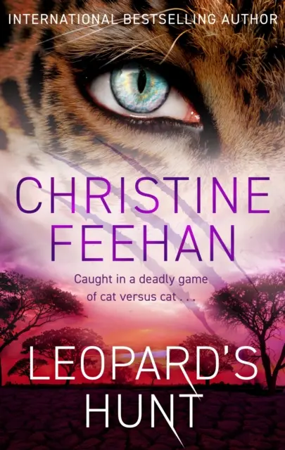 Leopardí lov - Leopard's Hunt