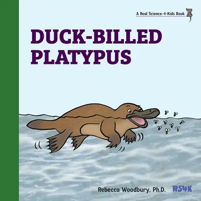 Kachnozobý ptakopysk - Duck-billed Platypus