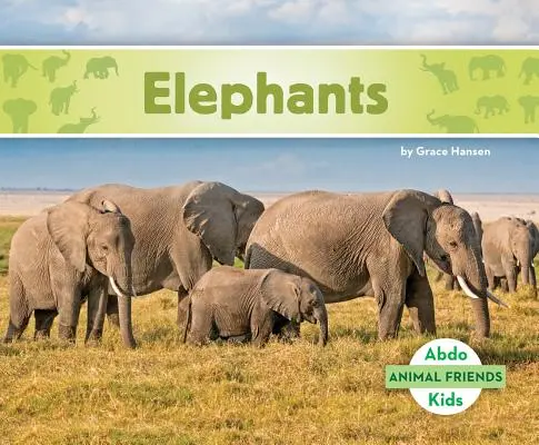 Sloni - Elephants