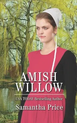 Amish Willow: Amišská romance - Amish Willow: Amish Romance