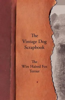 The Vintage Dog Scrapbook - Drátosrstý foxteriér - The Vintage Dog Scrapbook - The Wire Haired Fox Terrier