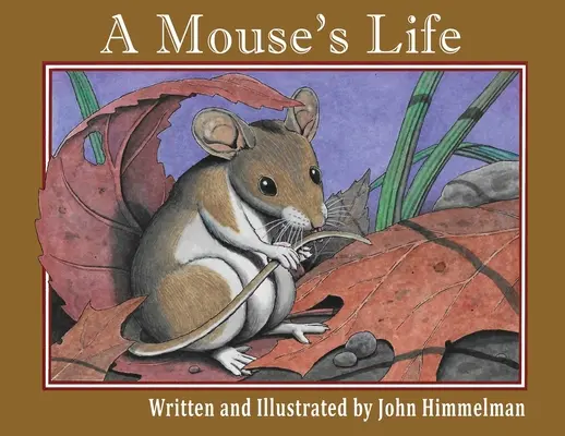Život myši - A Mouse's Life