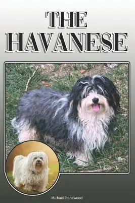 Havanský pes: Havanský pes: Kompletní a vyčerpávající průvodce pro majitele: Koupě, vlastnictví, zdraví, péče, výcvik, poslušnost, pochopení a porozumění. - The Havanese: A Complete and Comprehensive Owners Guide To: Buying, Owning, Health, Grooming, Training, Obedience, Understanding and