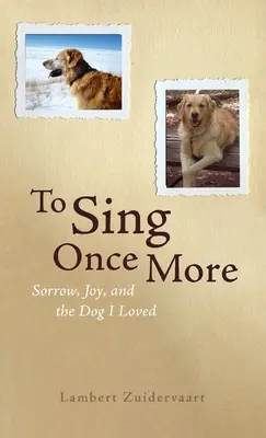 Zpívat ještě jednou - To Sing Once More
