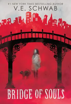 Most duší (Město duchů #3) - Bridge of Souls (City of Ghosts #3)