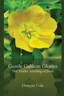 Něžná galilejská sláva: Něžné Ježíšovo učení - Gentle Galilean Glories: The Tender Teachings of Jesus