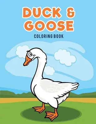 Omalovánky kachny a husy - Duck & Goose Coloring Book